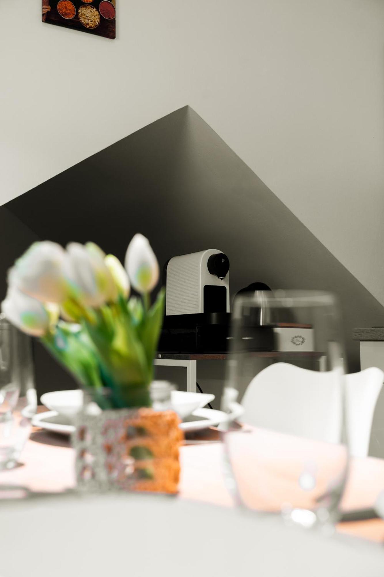 Moderne Stadtwohnung An Der Fussgaengerzone, Smart Tv, Kingsize-bett, Couch, Kueche Apartment *